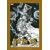 Beta Ray Bill by Daniel Warren Johnson Artist's Ed CVR B Direct Market Exclusive