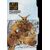 Appleseed Companion Deluxe Edition