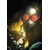 BATMAN BAD SEEDS GOTHAM GENERAL #2 (OF 2) CVR D TAURIN CLARKE BAD SEEDS SPOT FOIL VAR