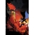 BATMAN BAD SEEDS SUNRISE #1 (ONE SHOT) CVR C MARCIO TAKARA CARD STOCK VAR