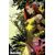 Batman Bad Seeds Sunrise #1 (One Shot) Cvr E Dan Mora Foil Var