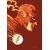 FLASH #38 CVR C RAUL ALLEN CARD STOCK VAR