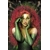 POISON IVY #49 CVR E STJEPAN SEJIC BAD SEEDS SPOT FOIL VAR (BATMAN BAD SEEDS)