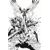 Spawn Scorched #56 Cvr B Yildiray Cinar B&W Virgin Var
