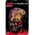 ARCHIE VS THE TERMINATOR #1 CVR C ROBERT HACK VAR