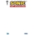 SONIC THE HEDGEHOG #91 CVR D SKETCH VAR