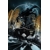 CATWOMAN #90 CVR E JOELLE JONES DARK KNIGHT RETURNS 40TH ANNIVERSARY CARD STOCK VAR