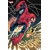 AMAZING SPIDER-MAN #34 CVR A ED MCGUINNESS