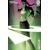 ABSOLUTE GREEN LANTERN #17 CVR B ANDREW ROBINSON CARD STOCK VAR