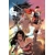 DARK KNIGHTS OF STEEL II #2 (OF 12) CVR D LUCAS MEYER CARD STOCK VAR