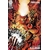 FURY OF FIRESTORM #5 (OF 8) CVR B DENYS COWAN & JEFF LEMIRE CARD STOCK VAR