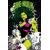 SHE-HULK EPIC COLLECTION INTERRUPTED MELODY