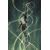 ABSOLUTE GREEN LANTERN #20 CVR B DAVIDE PARATORE CARD STOCK VAR
