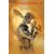 WALKING DEAD DELUXE #149 CVR C SCOTT MORSE VAR (MR)