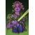 SWAMP THING IS KILLING THE CHILDREN #1 (ONE-SHOT) CVR B JENNY FRISON VAR