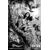TARZAN BEYOND #5 CVR D GUILLERMO FAJARDO B&W VAR