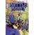 INVINCIBLE UNIVERSE BATTLE BEAST #6