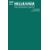 Hellraiser: Resurrections - The Onanistic Ritual #1 Cvr C Green Blank Sketch Var
