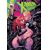 X-MEN: OUTBACK #4 CVR A RUSSELL DAUTERMAN