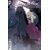 SLEEPY HOLLOW: THE WITCHES OF THE WESTERN WOOD #5 CVR A LUANA VECCHIO