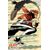 Absolute Flash #19 Cvr C Steve Skroce Card Stock Var