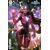 Justice League Intergalactic Special #1 (One-Shot) Cvr D Derrick Chew Card Stock Var