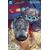 Bizarro Year None #1 (of 4) Cvr C Fernando Pasarin Card Stock Var