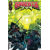 Godzilla [Kai-Sei Era] #12 Cvr A Hendry Prasetya
