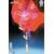 Absolute Superman #17 Cvr B Gerald Parel Card Stock Var