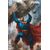 Adventures of Superman Book of El #7 (of 12) Cvr C Lucio Parrillo Card Stock Var