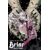 Briar: Night'S Terror #4 Cvr B Noah Dao Var