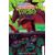 Tales of the Teenage Mutant Ninja Turtles #5 Cvr B Chalky Wong Var