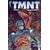 Tmnt: Journeys #9 Cvr B Fero Pe Var