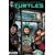 Teenage Mutant Ninja Turtles #19 Cvr B Kevin Eastman Var