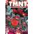 Tmnt: Journeys #13 Cvr B Dave Wachter Var