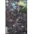 Justice League vs Godzilla vs Kong 2 #7 Cvr C Alan Quah Csv