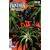Black Panther 60th Anniversary Special #1 Cvr C Steve Rude