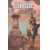 Deadly Tales of the Gunslinger Spawn #16 Cvr A Marco Failla