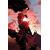 Absolute Wonder Woman #27 Cvr C Marcio Takara Card Stock Var