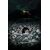 DC Start Here - Bundles of 25 - Nice House on the Lake #1 (Net) (MR)