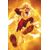 Fury of Firestorm #9 (of 9) Cvr B Mitch Gerads Card Stock Var