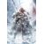 Red Sonja: Solstice Special #1 (One-Shot) Cvr F Francesco Mattina Ltd Virgin
