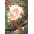 Robin Hood #2 Cvr A Joshua Middleton
