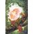 Robin Hood #2 Cvr F Joshua Middleton Ltd Virgin