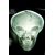 X-Files #1 Cvr G Roswell Photo Foil Cover