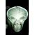 X-Files #1 Cvr H Roswell Photo Foil Virgin Cover