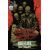 Return of the Living Dead: Halflife #1 Cvr B Godmachine