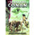 Savage Sword of Conan the Original Comics Omnibus Vol. 13 Direct Market Edition Earl Norem CVR (MR)