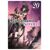 Reincarnated as a Sword Light Novel Vol. 20