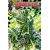 Godzilla [Kai-Sei Era] #13 Cvr B Jesse Hernandez Var